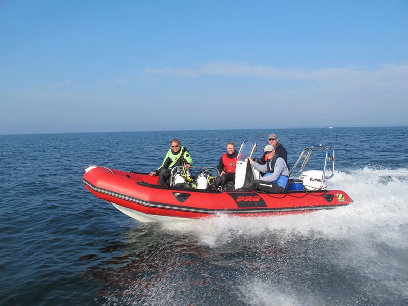IBMs RIB
